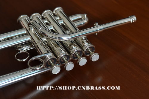 美國蓋琴高音小號(hào)3916S 卓越性能與精湛工藝的完美融合